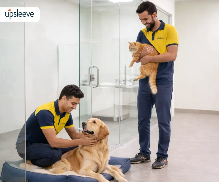 pet boarding services UAE with temperature controlled rooms and 24/7 care
